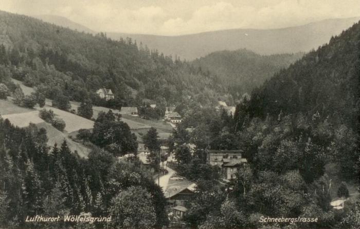 Międzygórze (ok. 1920)